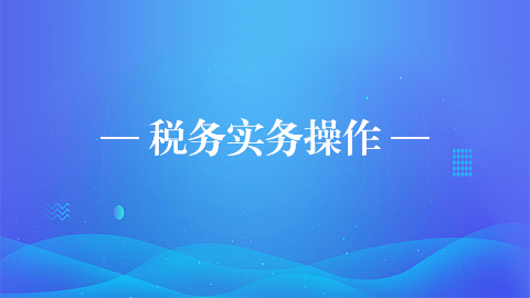 税收实务操作 