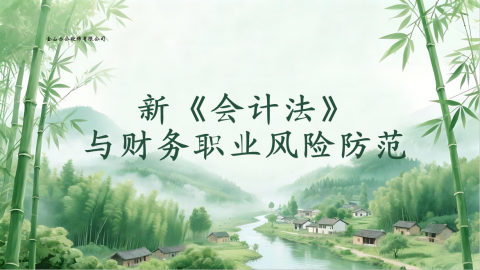 新《会计法》与财务职业风险防范 