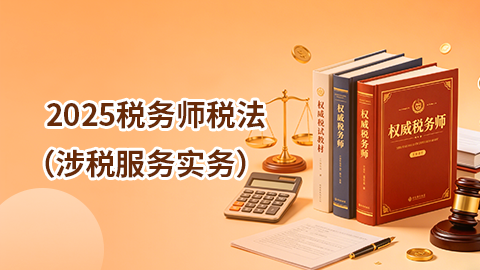 涉税服务实务 